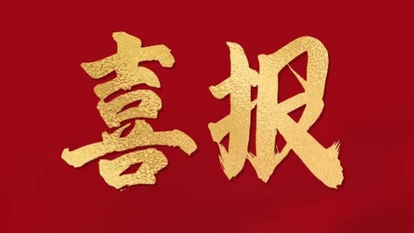 集團(tuán)榮膺2024中國民營企業(yè)500強(qiáng)第269位